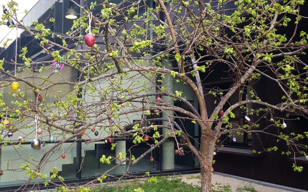 DER OSTERBAUM – L’arbre de Pâques : Votez pour votre œuf favori !